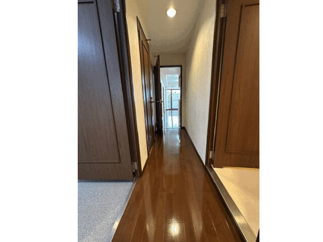 �ٻΥ��ǥ��å� ��������ʪ��